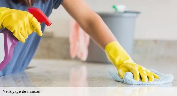 Nettoyage Habitat : expert en nettoyage pour une maison éclatante à 93260