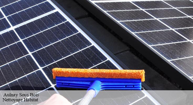 Pourquoi le nettoyage de panneaux solaires est crucial pour l'efficacité énergétique