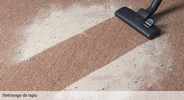 Nettoyage en profondeur des tapis : Découvrez les services proposés par Nettoyage Habitat