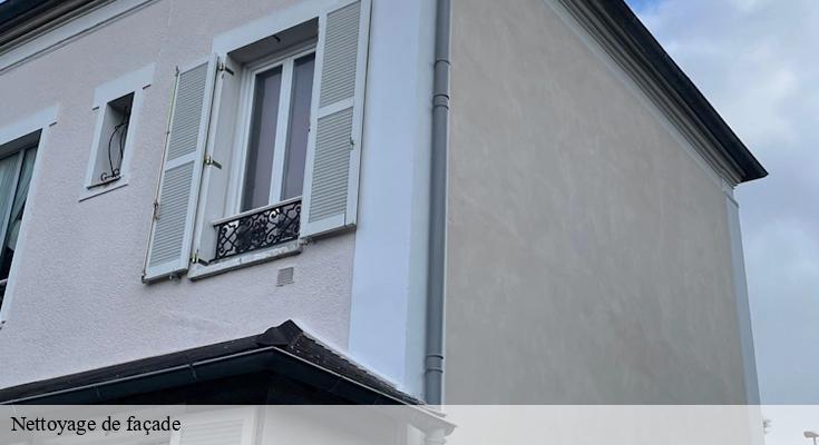 Nettoyage Habitat : expert en nettoyage haute pression pour façades à 93350