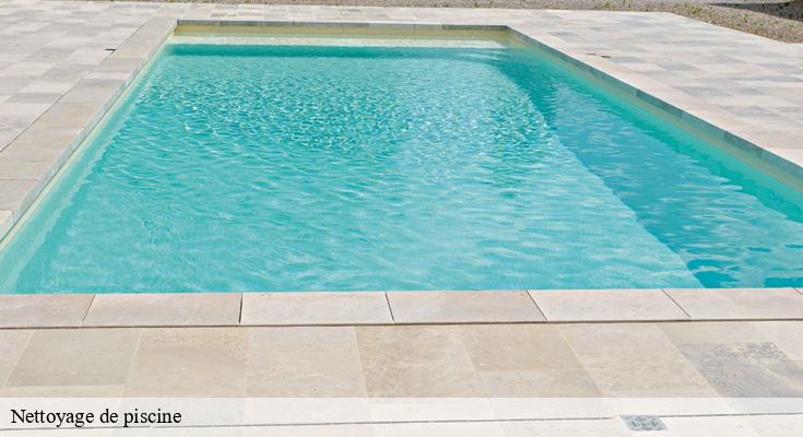 Les meilleurs produits pour nettoyer sa piscine à 93230