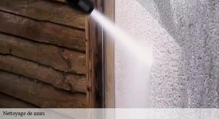 Techniques efficaces pour le nettoyage de murs à Clichy Sous Bois