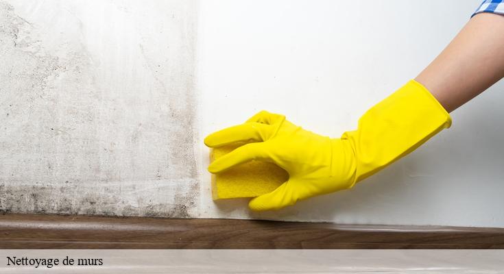 Les erreurs à éviter lors du nettoyage de murs